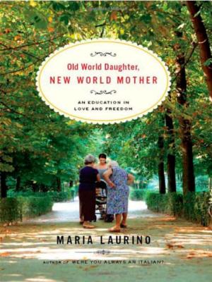 Old World Daughter, New World Mother Cover