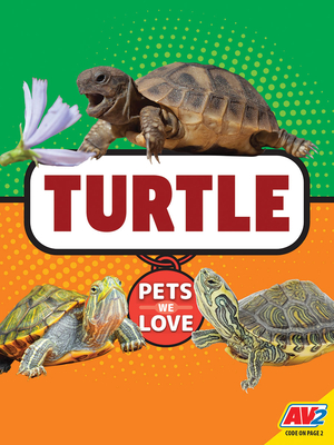 Turtle Cover Image