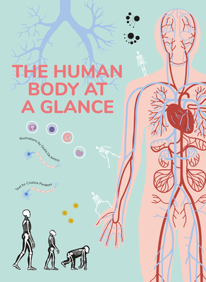 The Human Body at a Glance By Cristina Peraboni (Text by (Art/Photo Books)), Giulia De Amicis (Illustrator) Cover Image