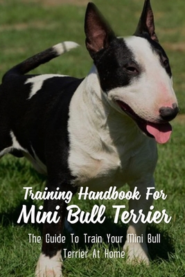 How to train 2024 your bull terrier