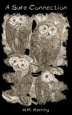 A Sure Connection By W. M. Herring Cover Image