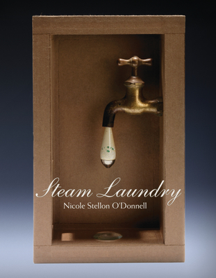 Steam Laundry By Ms. Nicole Stellon O'Donnell Cover Image