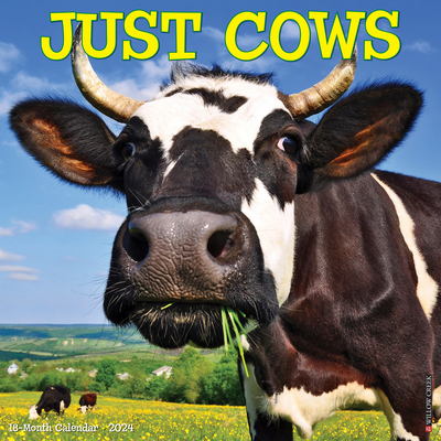 Just Cows 2024 12 X 12 Wall Calendar By Willow Creek Press Cover Image
