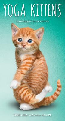 Yoga Kittens 2020 Pocket Planner Cover Image