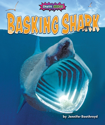 Basking Shark By Jennifer Boothroyd Cover Image