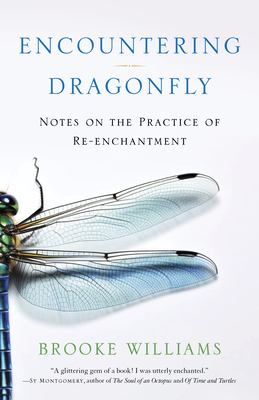 Encountering Dragonfly: Notes on the Practice of Re-Enchantment By Brooke Williams Cover Image