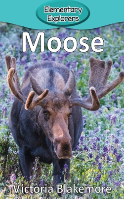 Moose (Elementary Explorers #24) By Victoria Blakemore Cover Image