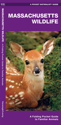 Massachusetts Wildlife: A Folding Pocket Guide to Familiar Animals (Wildlife and Nature Identification)