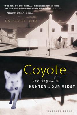 Coyote: Seeking the Hunter in Our Midst By Catherine Reid Cover Image