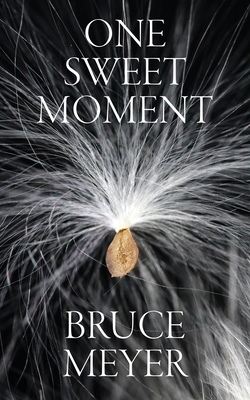 One Sweet Moment (Essential Poets series #305)