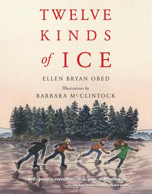 Cover Image for Twelve Kinds of Ice