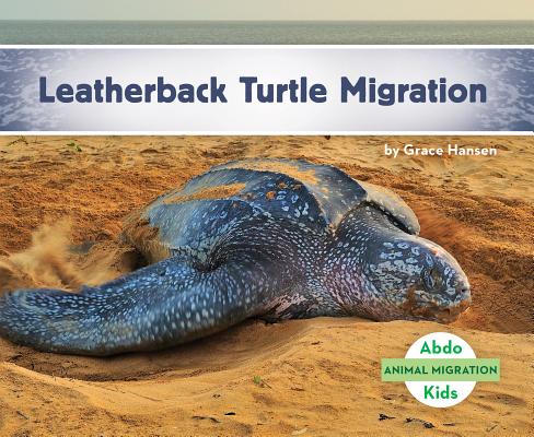 Leatherback Turtle Migration (Animal Migration) By Grace Hansen Cover Image