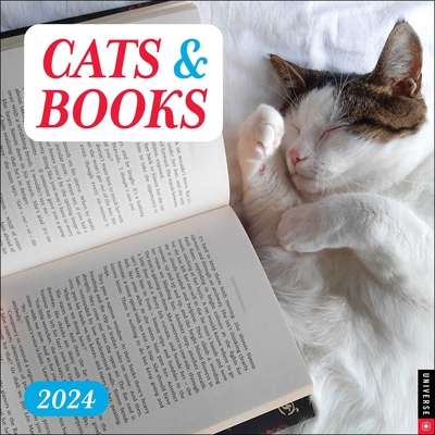 Cats & Books 2024 Wall Calendar By Rizzoli Universe Cover Image
