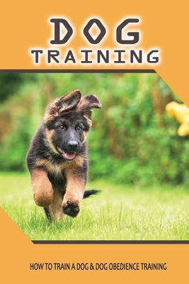 Stay and sales train dog training