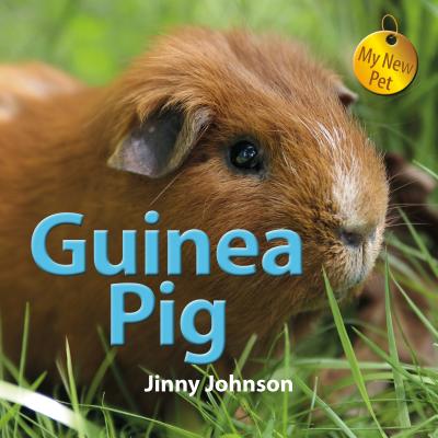 Guinea Pig (My New Pet)