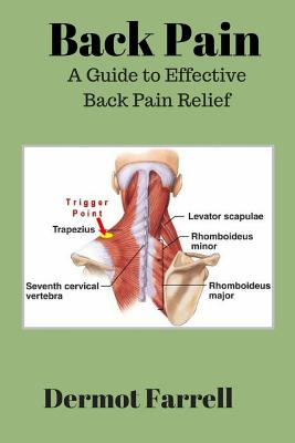 Back Pain: A Guide to Effective Back Pain Relief (Natural Health Solutions #5)