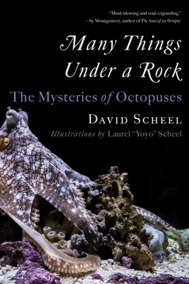 Many Things Under a Rock: The Mysteries of Octopuses Cover Image