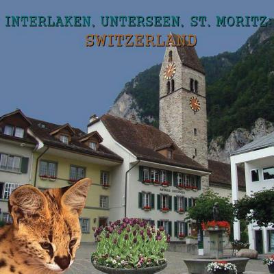 Interlaken, Unterseen, St. Moritz: Switzerland Cover Image