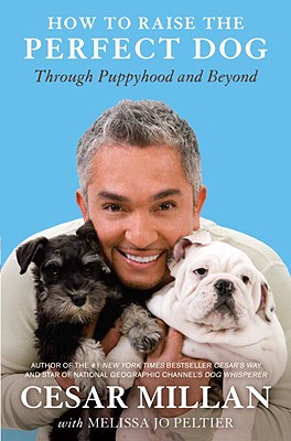 How to Raise the Perfect Dog: Through Puppyhood and Beyond Cover Image