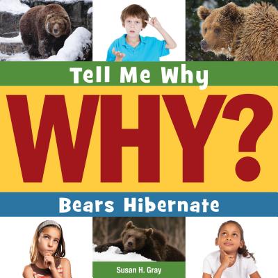 Bears Hibernate (Tell Me Why Library) Cover Image