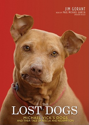 The Lost Dogs Cover