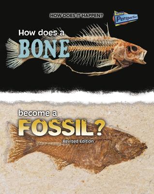 How Does a Bone Become a Fossil? (How Does It Happen) By Melissa Stewart Cover Image