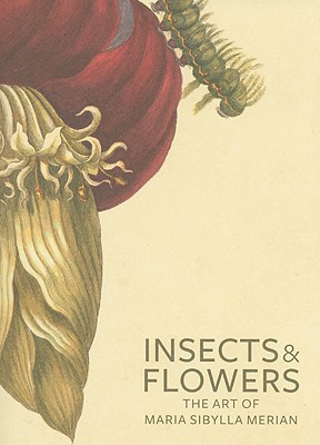 Insects and Flowers: The Art of Maria Sibylla Merian By David Brafman , Stephanie Schrader Cover Image