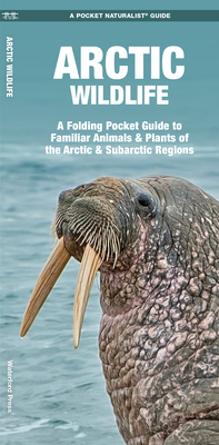 Arctic Wildlife: A Folding Pocket Guide to Familiar Animals & Plants of the Arctic and Subarctic Regions (Pocket Naturalist Guide) By James Kavanagh, Waterford Press, Raymond Leung (Illustrator) Cover Image