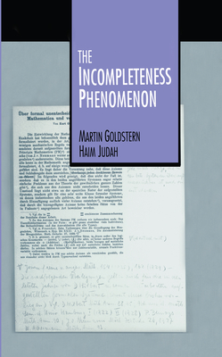 The Incompleteness Phenomenon Cover Image