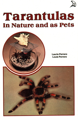 Tarantulas in Nature and as Pets By Laurie Perrero, Louise Perrero Cover Image
