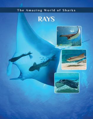 Rays Cover Image