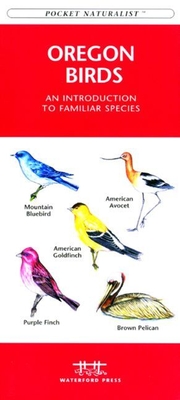 Butterflies & Moths: A Folding Pocket Guide to Familiar North American Species Cover Image