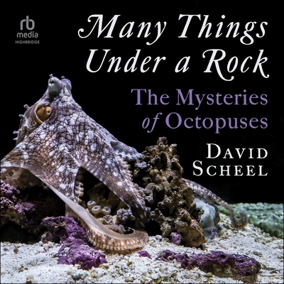 Many Things Under a Rock: The Mysteries of Octopuses Cover Image