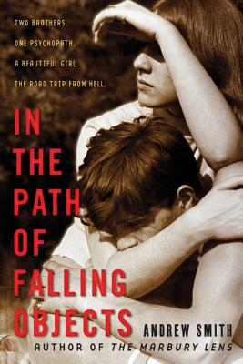 In the Path of Falling Objects Cover Image