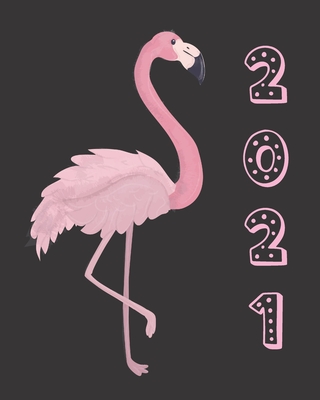 2021: Pink Flamingo Women's Daily Client Appointment Book - A Scheduler With Password Page & 2021 Calendar Cover Image