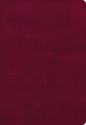 NASB Super Giant Print Reference Bible, Burgundy LeatherTouch By Holman Bible Publishers Cover Image