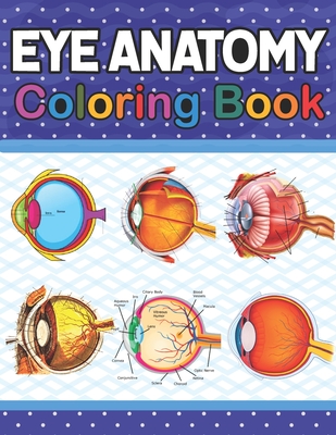 Eye Anatomy Coloring Book: Fun and Easy Human Eye Anatomy Coloring Book. Learn The Human Eye Anatomy With Fun & Easy. Human Eye Anatomy Coloring Cover Image