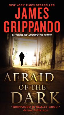 Afraid of the Dark (Jack Swyteck Novel #9) Cover Image
