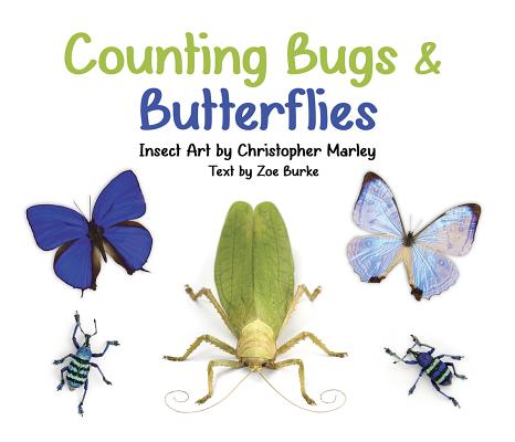 Counting Bugs and Butterflies: Insect Art by Christopher Marley By Zoe Burke, Christopher Marley (Illustrator) Cover Image