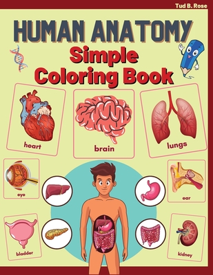 Download Human Anatomy Simple Coloring Book Amazing Human Anatomy Coloring Book For Adults Teens Kids And Students Learning Easier And Better Through Color Paperback Politics And Prose Bookstore
