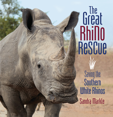 The Great Rhino Rescue: Saving the Southern White Rhinos (Sandra Markle's Science Discoveries)