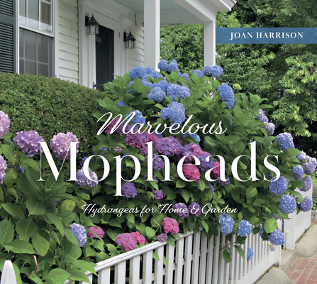 Marvelous Mopheads: Hydrangeas for Home & Garden By Joan Harrison Cover Image