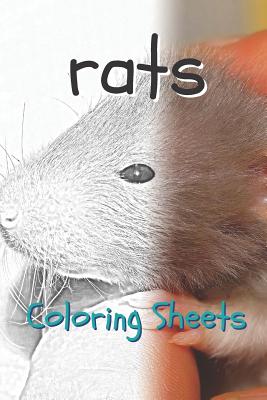 Download Rat Coloring Sheets 30 Rat Drawings Coloring Sheets Adults Relaxation Coloring Book For Kids For Girls Volume 2 Paperback Volumes Bookcafe