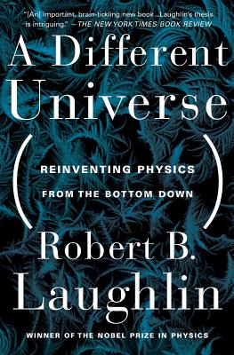 A Different Universe: Reinventing Physics From the Bottom Down Cover Image