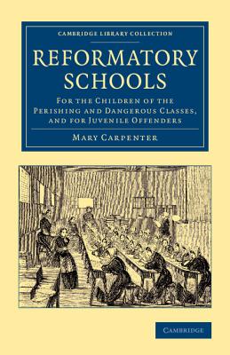 Reformatory Schools: For the Children of the Perishing and Dangerous Classes, and for Juvenile Offenders (Cambridge Library Collection - British and Irish History)