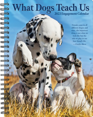 What Dogs Teach Us 2023 Engagement Calendar By Willow Creek Press Cover Image