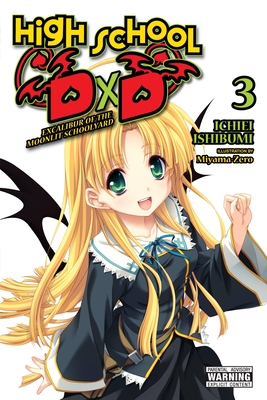 High School DxD, Vol. 10 (light novel): Lionheart of the Academy Festival  (High School DxD (light novel) #10) (Paperback)