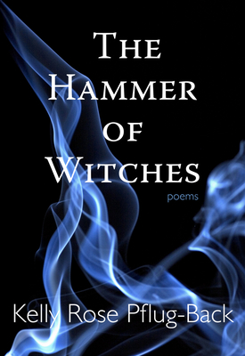 Cover for The Hammer of Witches