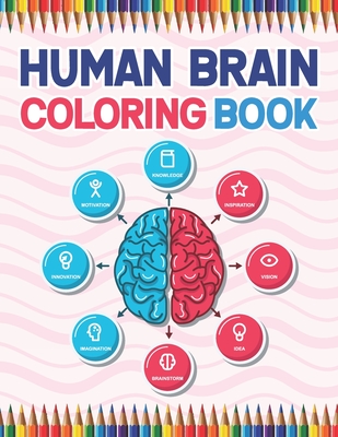 human brain coloring page