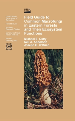 Field Guide to Common Macrofungi in Eastern Forests and Their Ecosystem Function Cover Image